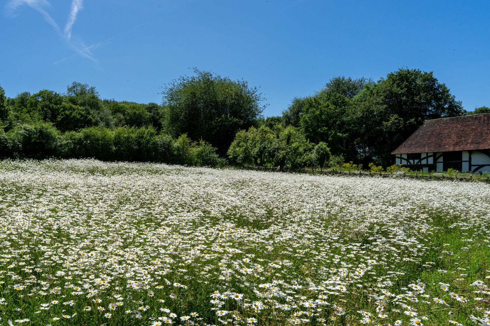 Photography by Chris Allington